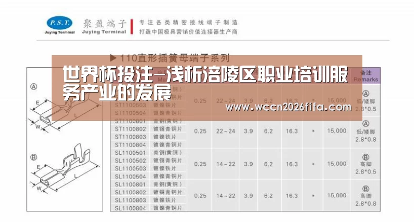 世界杯投注-浅析涪陵区职业培训服务产业的发展