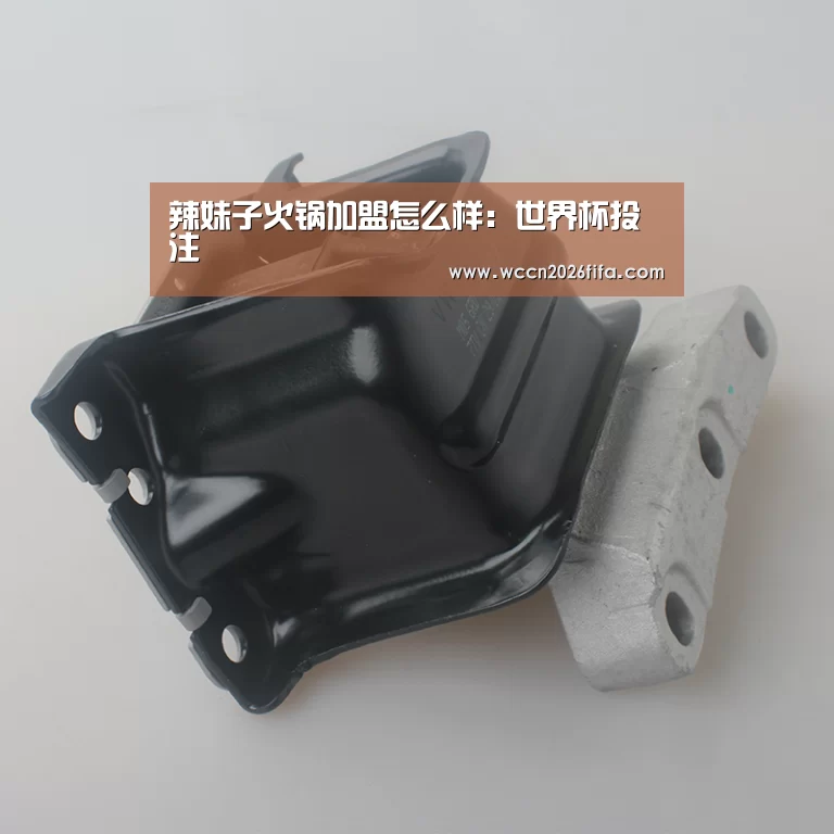 辣妹子火锅加盟怎么样：世界杯投注