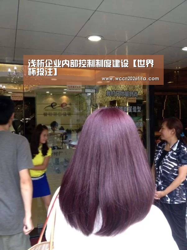 浅析企业内部控制制度建设【世界杯投注】(图4) 世界杯投注