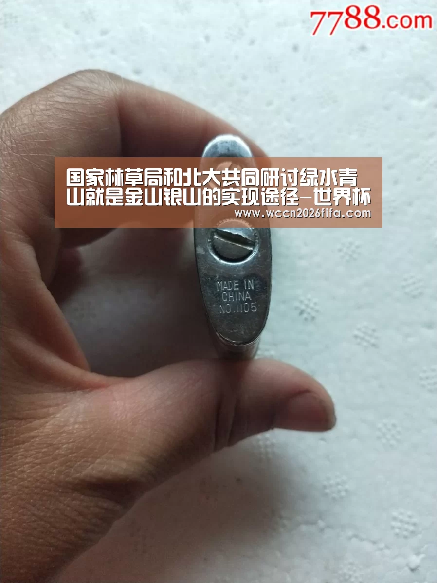 国家林草局和北大共同研讨绿水青山就是金山银山的实现途径-世界杯投注