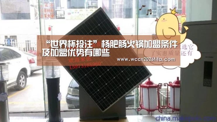 “世界杯投注”杨肥肠火锅加盟条件及加盟优势有哪些