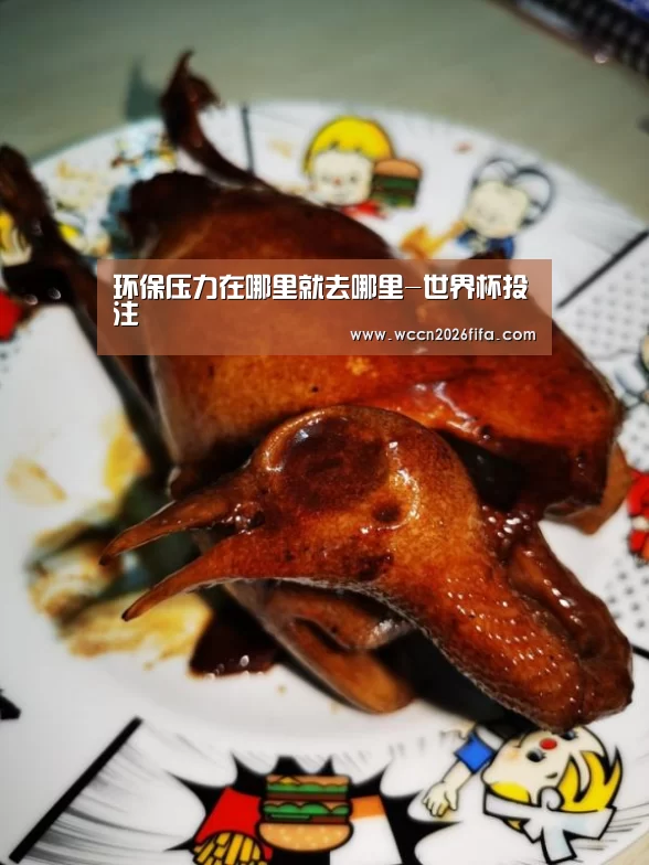 环保压力在哪里就去哪里-世界杯投注(图2) 世界杯投注