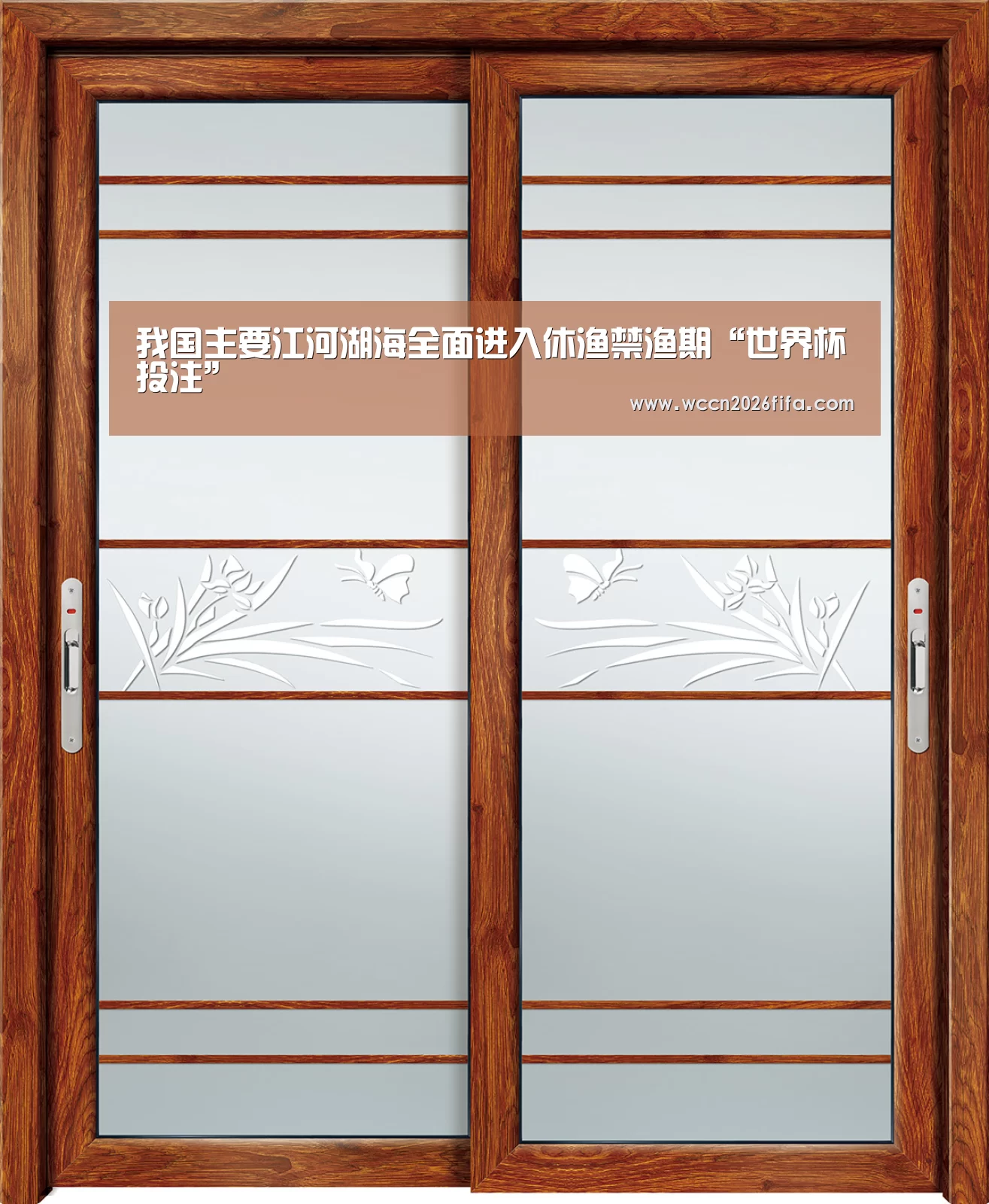 我国主要江河湖海全面进入休渔禁渔期“世界杯投注”