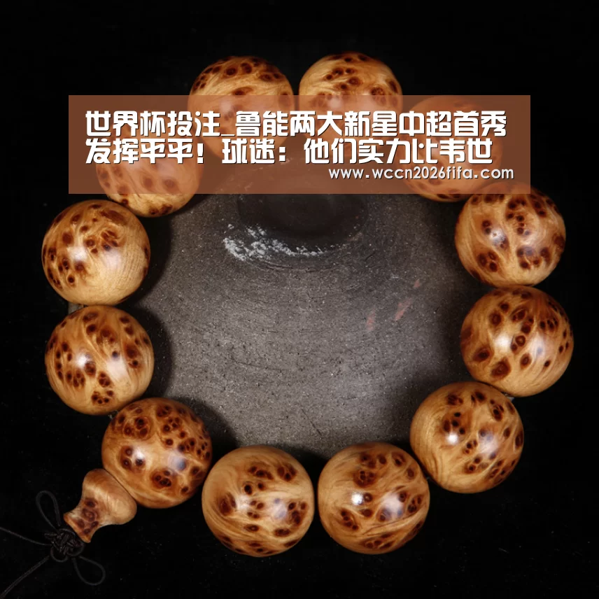 世界杯投注_鲁能两大新星中超首秀发挥平平!球迷:他们实力比韦世豪差远了(图3) 世界杯投注