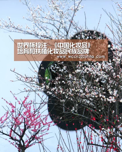 世界杯投注-《中国化妆品》――培育和扶植化妆品民族品牌(图4) 世界杯投注