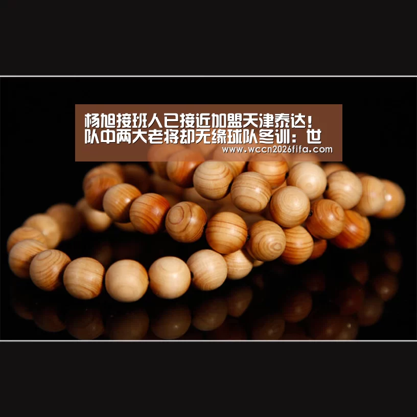 杨旭接班人已接近加盟天津泰达!队中两大老将却无缘球队冬训:世界杯投注(图3) 世界杯投注