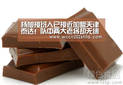 杨旭接班人已接近加盟天津泰达!队中两大老将却无缘球队冬训:世界杯投注(图2) 世界杯投注