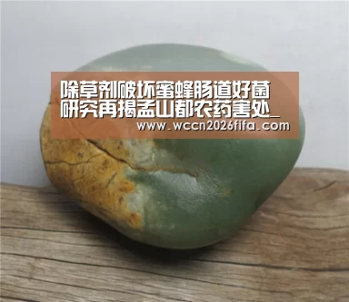 除草剂破坏蜜蜂肠道好菌 研究再揭孟山都农药害处_世界杯投注