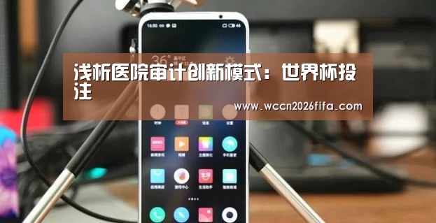 浅析医院审计创新模式:世界杯投注(图3) 世界杯投注