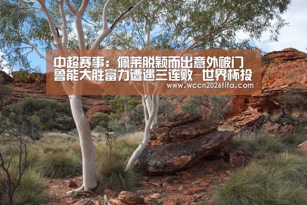 世界杯投注
