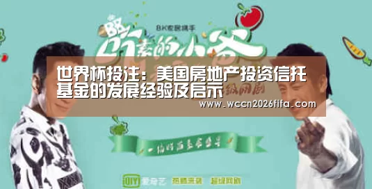 世界杯投注:美国房地产投资信托基金的发展经验及启示(图2) 世界杯投注