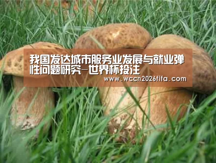 世界杯投注