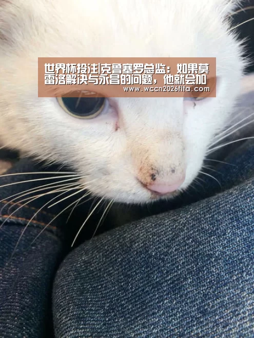 世界杯投注|克鲁塞罗总监:如果莫雷洛解决与永昌的问题,他就会加盟球队(图2) 世界杯投注