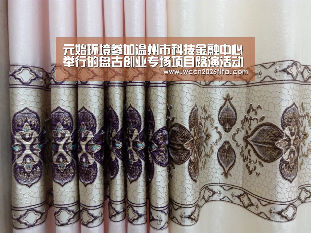 元始环境参加温州市科技金融中心举行的盘古创业专场项目路演活动‘世界杯投注’(图2) 世界杯投注