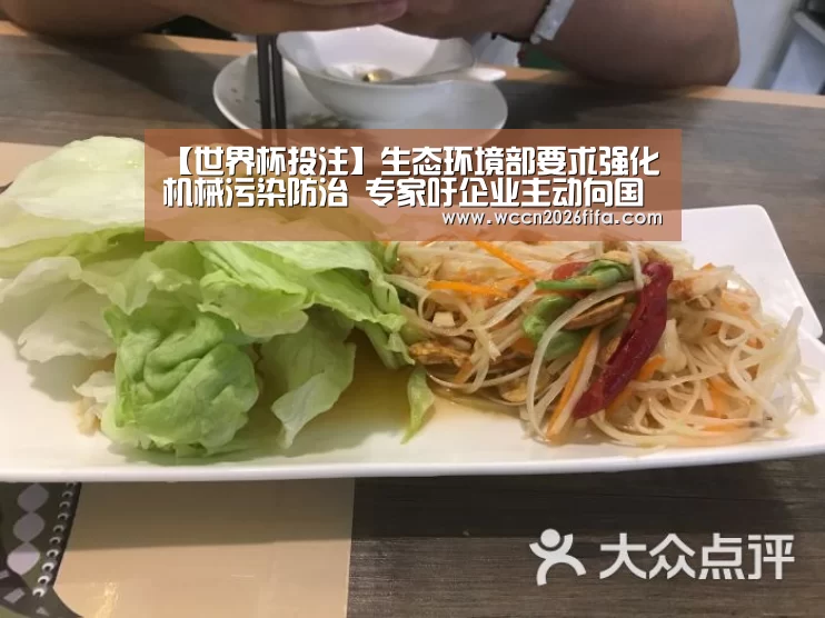 【世界杯投注】生态环境部要求强化机械污染防治 专家吁企业主动向国家标准过渡(图3) 世界杯投注