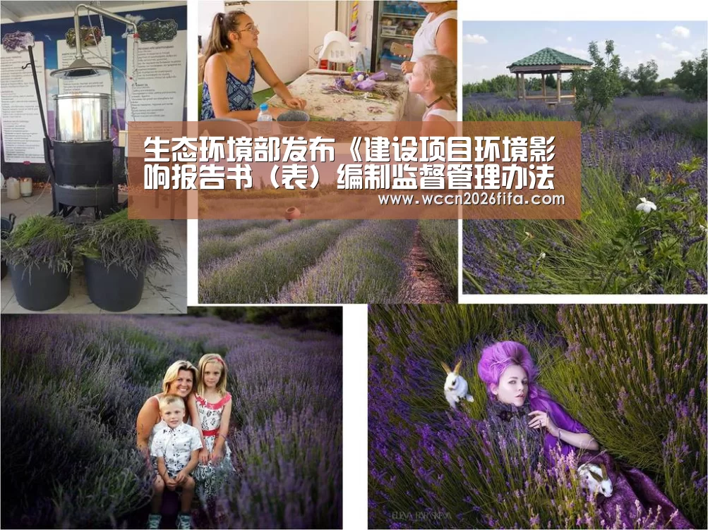 生态环境部发布《建设项目环境影响报告书（表）编制监督管理办法》：世界杯投注