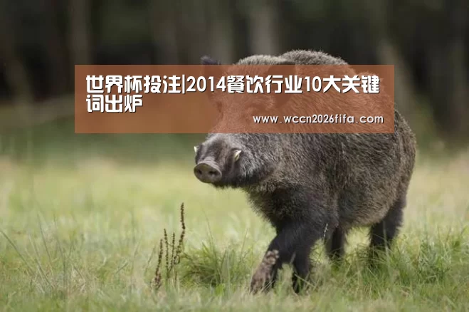 世界杯投注