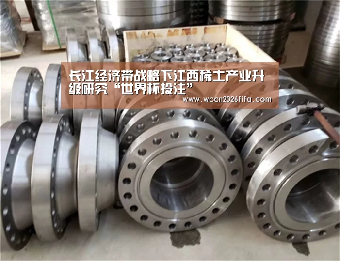 长江经济带战略下江西稀土产业升级研究“世界杯投注”