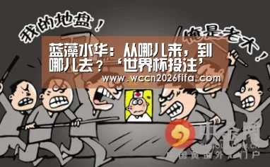 蓝藻水华:从哪儿来,到哪儿去?‘世界杯投注’(图2) 世界杯投注