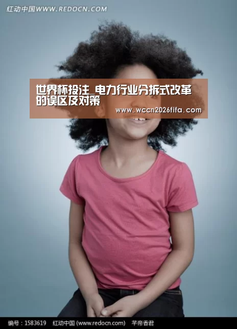 世界杯投注_电力行业分拆式改革的误区及对策