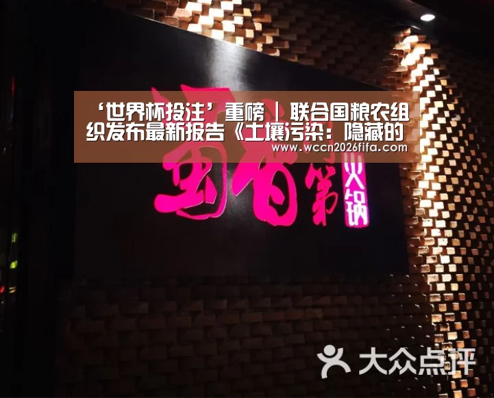 ‘世界杯投注’重磅 | 联合国粮农组织发布最新报告《土壤污染:隐藏的现实》:土壤污染对农业生产率、食品安全和人类健康构成的威胁令人不安(图3) 世界杯投注
