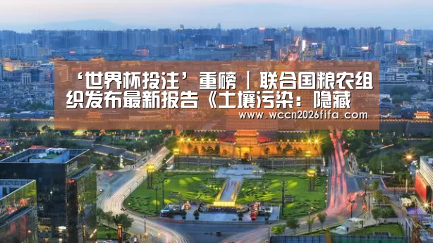 ‘世界杯投注’重磅 | 联合国粮农组织发布最新报告《土壤污染：隐藏的现实》：土壤